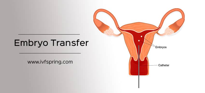What is Embryo Transfer