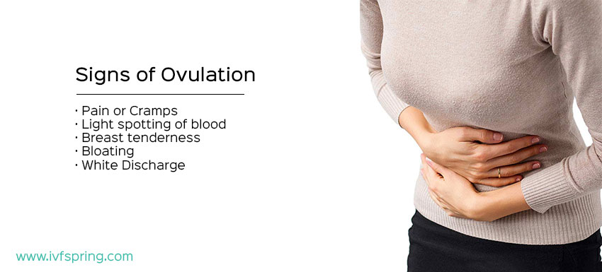 Signs of Ovulation