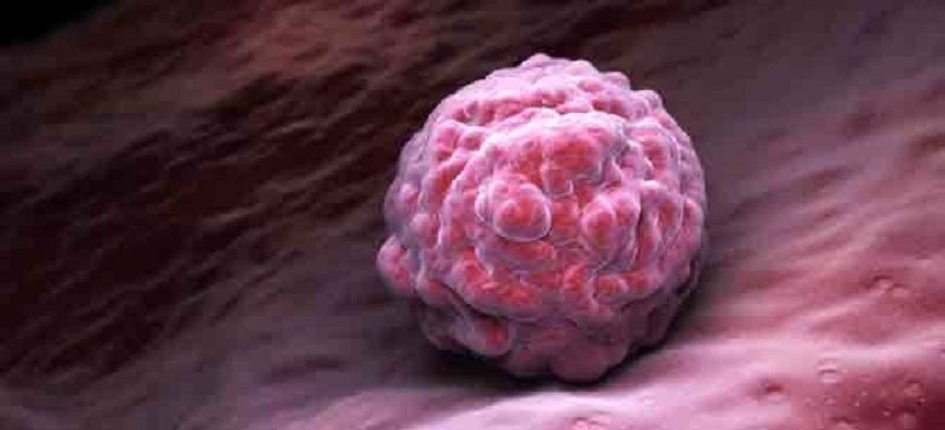 Embryonic stem cells , Cellular therapy , Regeneration , Disease treatment. 3D illustration