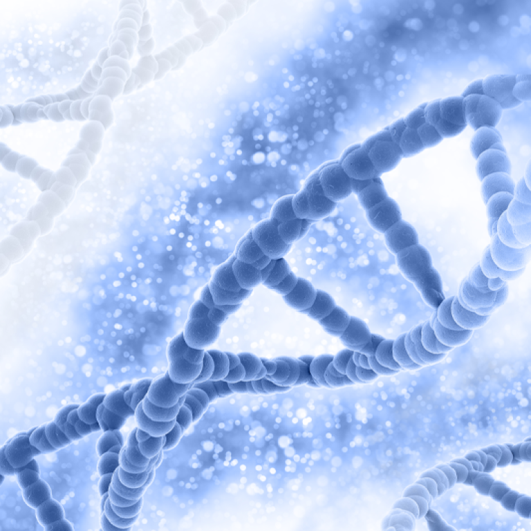 DNA