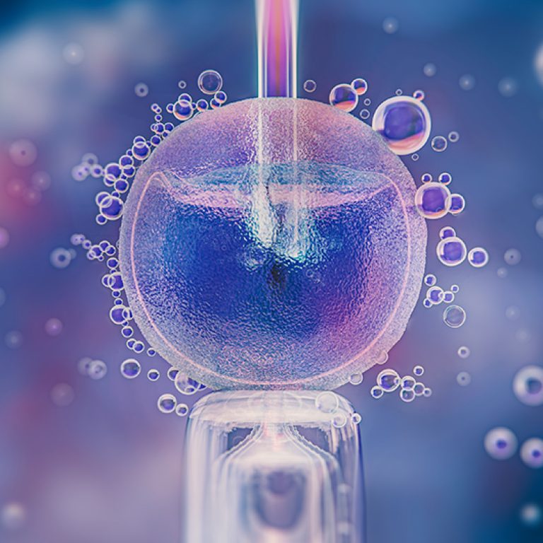 beautiful-fertility-concept-3d-rendering